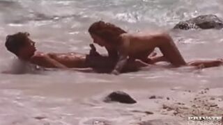 Numerek z lisicą na plaży