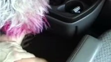 Laseczka ujeżdża go w samochodzie